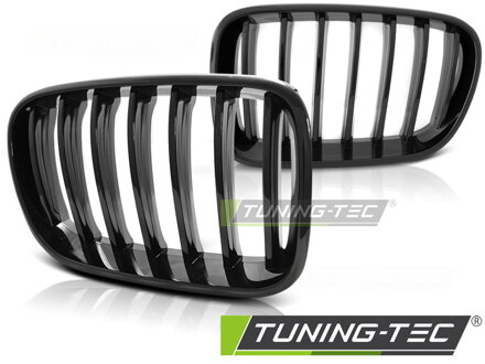 Maska BMW X3 F25 10-14 Glossy Black