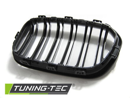 Maska BMW F20/F21 LCI 15-18 Glossy Black Double Bar
